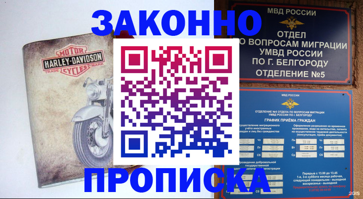 прописка для школы в Нелидово